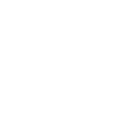 Client's Work-shaadi baraati